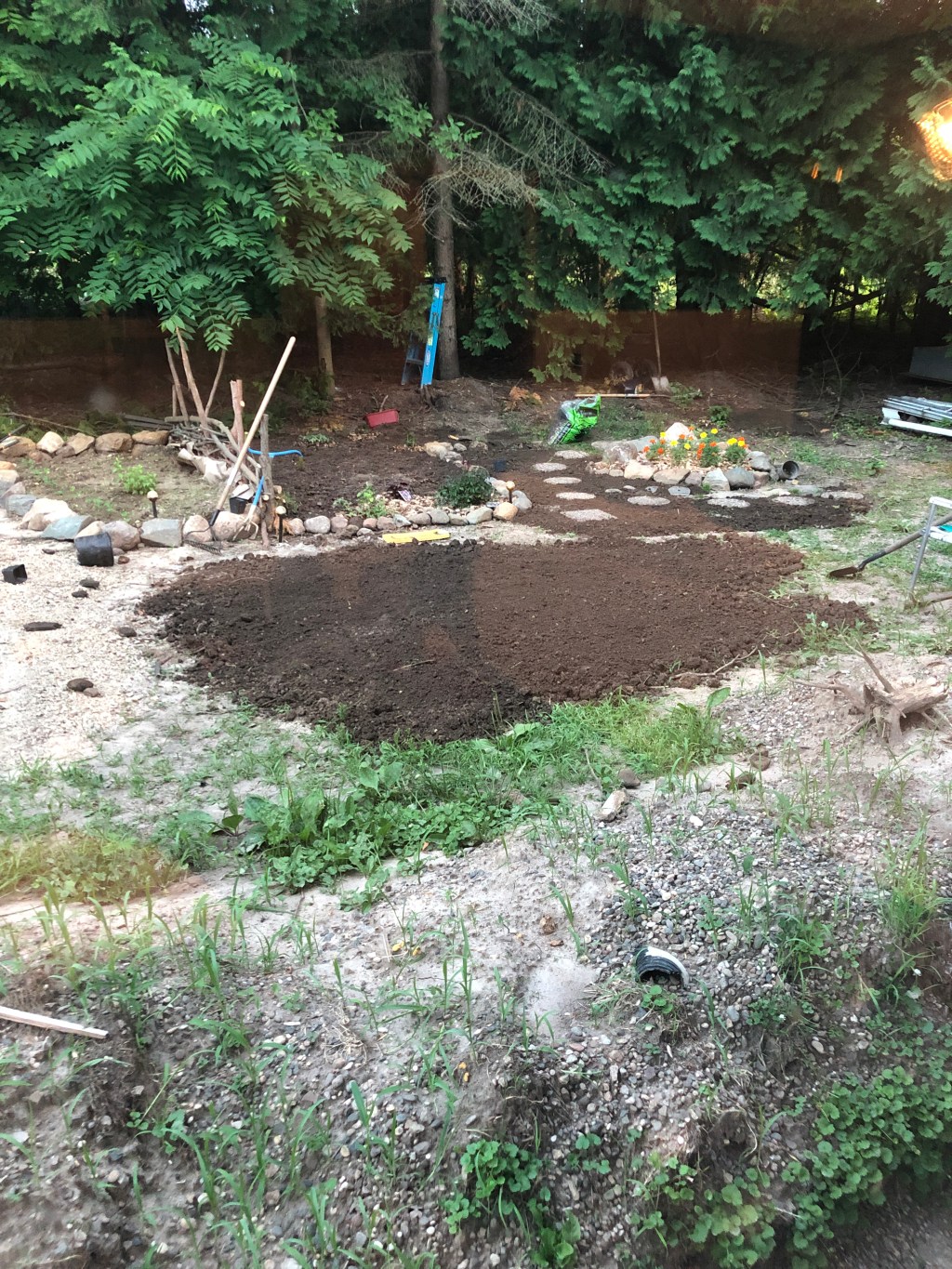 Beginning Homesteading