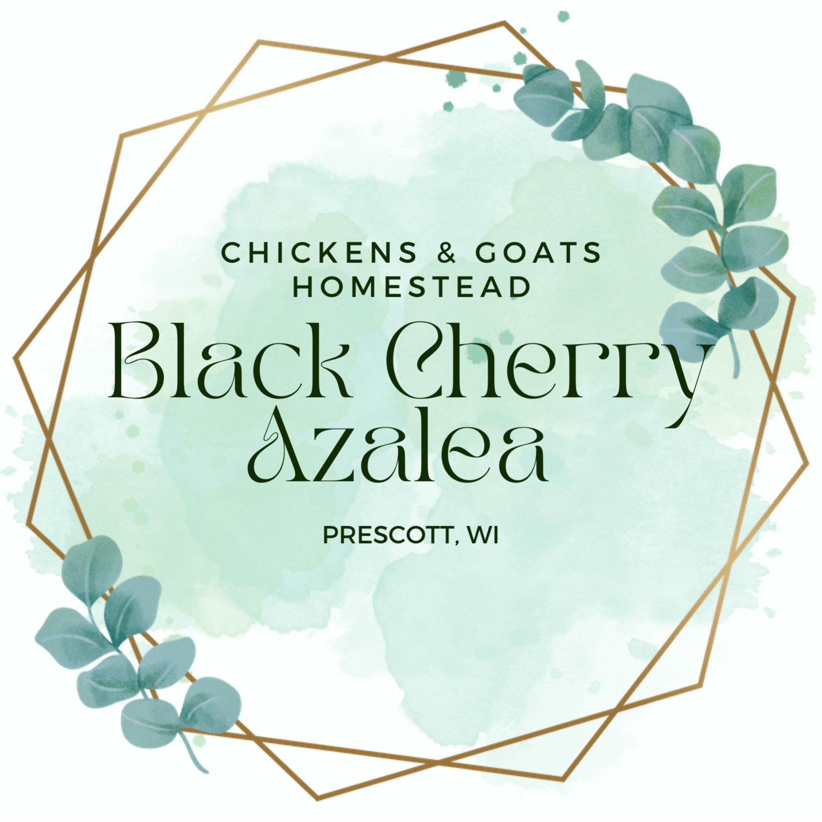 The Black Cherry Azalea